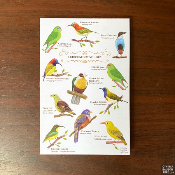 Philippine Native Birds Postcard