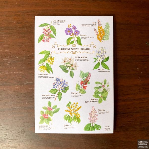 Philippine Native Flowers Postcard