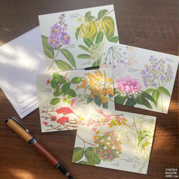 Philippine Native Trees Note Cards