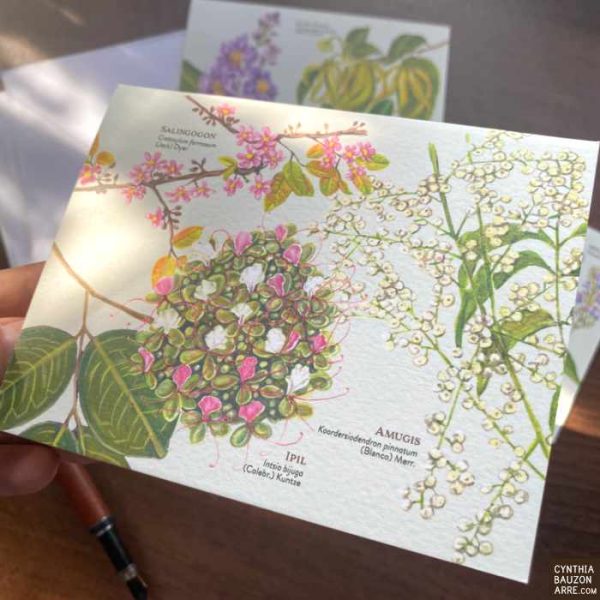 Philippine Native Trees Note Cards