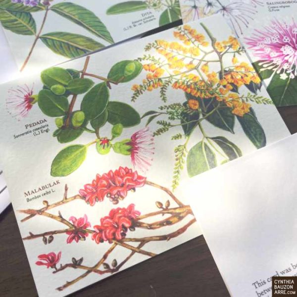 Philippine Native Trees Note Cards