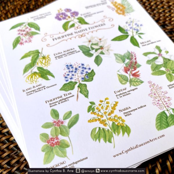 Philippine Native Flora Postcard
