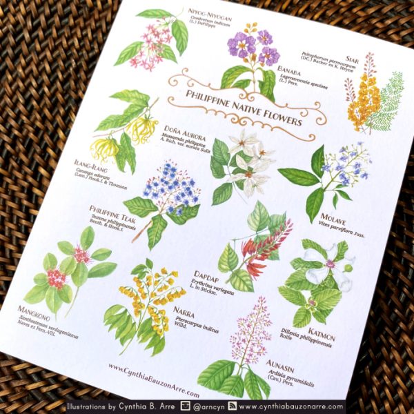Philippine Native Flora Postcard
