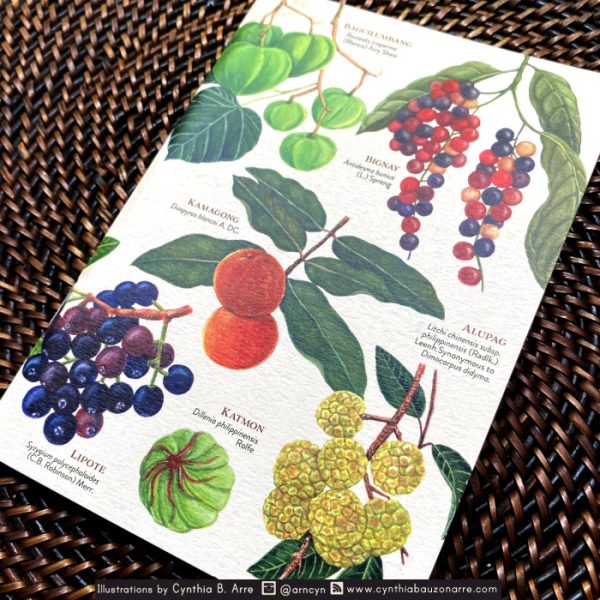 Philippine Native Fruits Notebook
