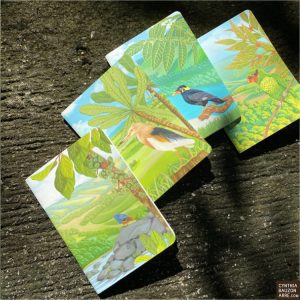 Philippine Forest Landscapes Notebook Set
