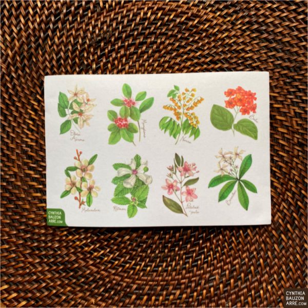 Philippine Native Flowers and Birds Washi Stickers
