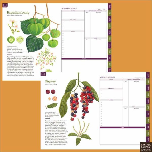 Forest Fruits Philippine Native Trees Digital Planner