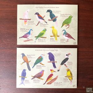 Philippine endemic birds postcards