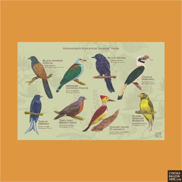 Philippine endangered endemic birds postcard