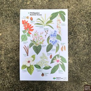 Philippine native flowering trees postcard