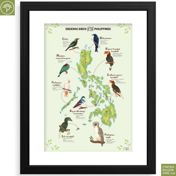 Philippine Endemic Birds Art Print