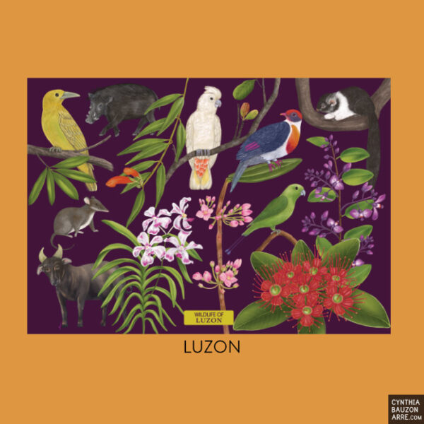 Luzon Endemic Wildlife Philippine Flora and Fauna Postcards