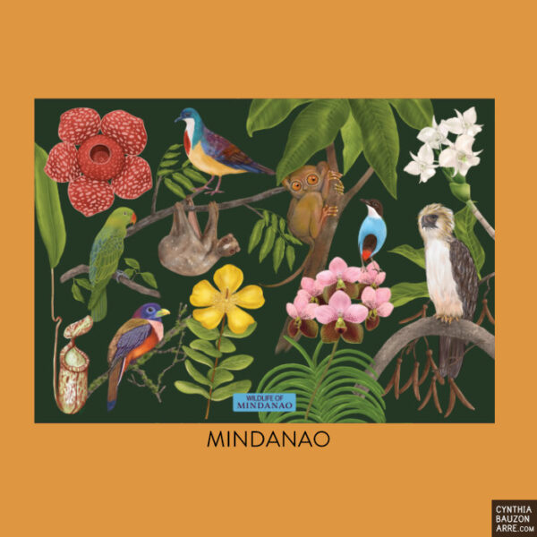 Mindanao Endemic Wildlife Philippine Flora and Fauna Postcards