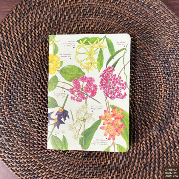 Philippine Endemic Hoyas pocket notebook