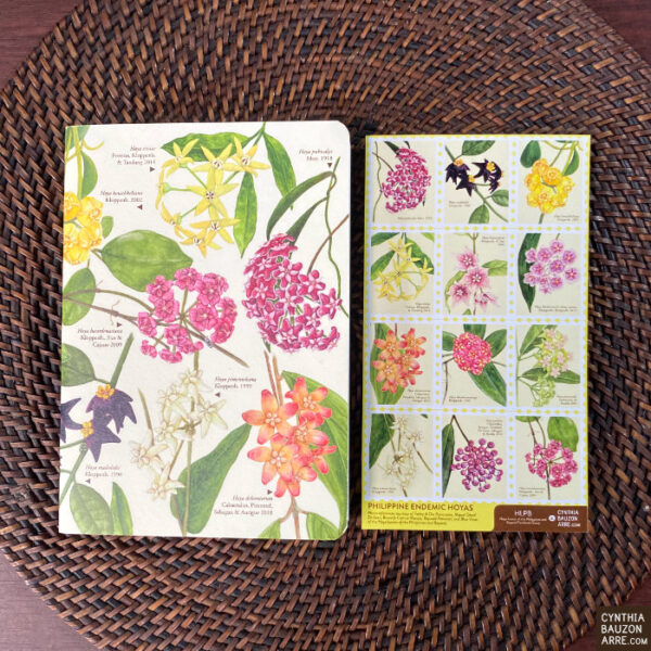 Philippine Endemic Hoyas pocket notebook and stickers