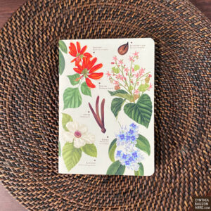 Philippine native trees pocket notebook