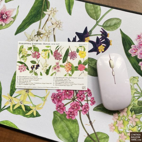 Philippine Endemic Hoyas Desk Mat