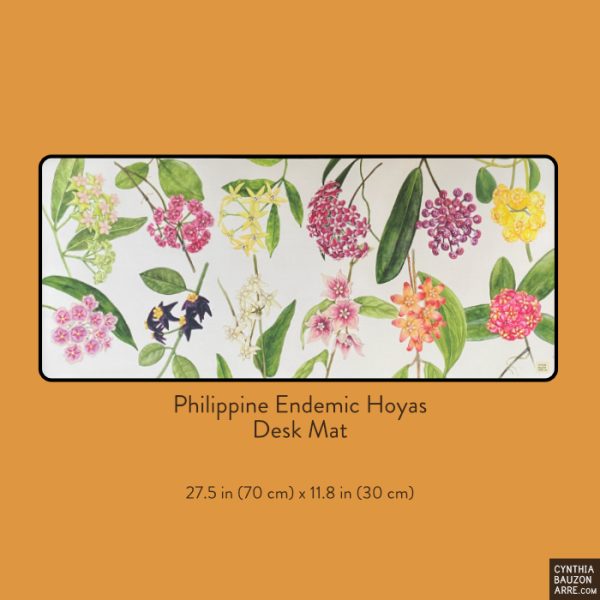Philippine Endemic Hoyas Desk Mat