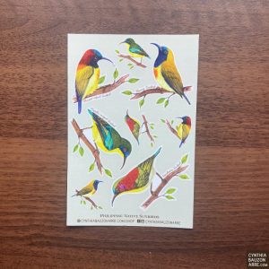 Philippine Endemic Sunbirds Vinyl Sticker Sheet