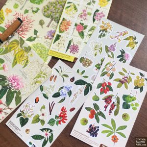 Philippine native flora and fauna notebook add-on stickers