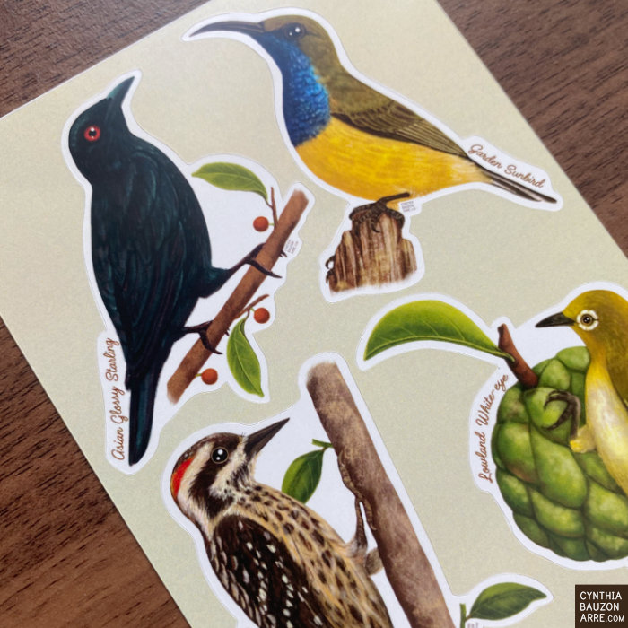 Philippine Native City Birds Waterproof Sticker Sheet