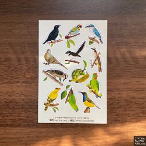 Philippine Native City Birds Sticker Sheet