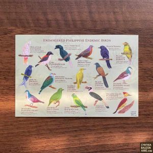 Endangered Philippine Endemic Birds Postcard