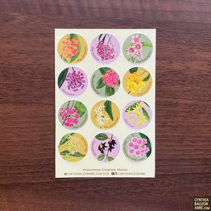 Philippine Endemic Hoyas Daily-Use Waterproof Sticker Seals Sheet