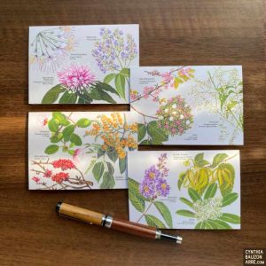 Philippine Forest Blooms Notecards