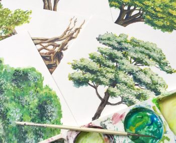 #DrawNativeTreesPh: Promoting Awareness for Philippine Native Trees Through Art