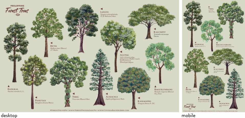 philippine native trees wallpaper