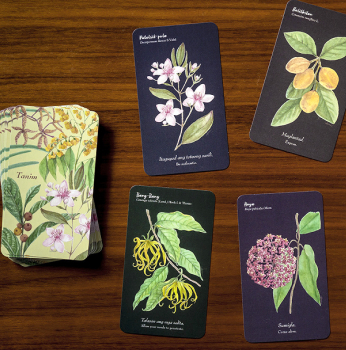 Tanim: A Filipino Botanical Oracle Deck