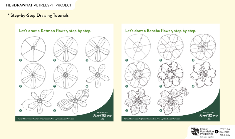 Philippine Native Trees Drawing Tutorials