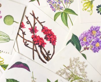 #ForestBloomsPh Philippine Native Flowering Trees Art Awareness Campaign