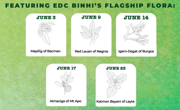 EDC Binhi flagship flora