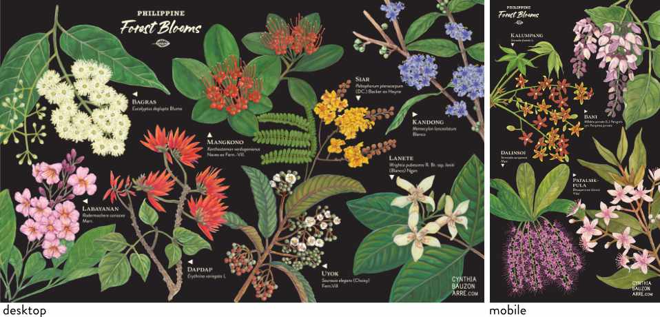 Philippine native flowering trees wallpaper
