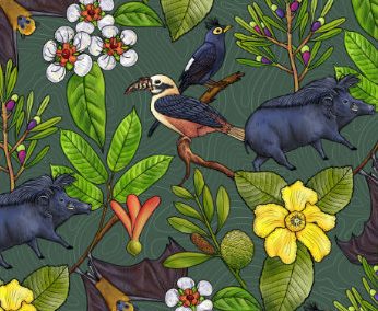 EDC BINHI Flagship Flora & Fauna Illustrations