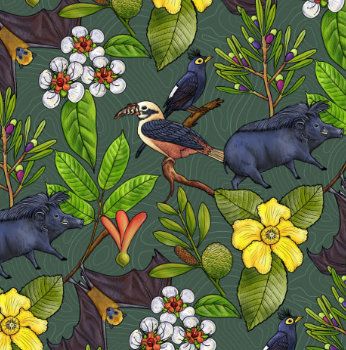 EDC BINHI Flagship Flora & Fauna Illustrations