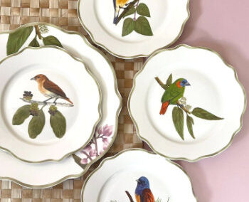 Illustrations for Ibon Collection Tableware | Casa Juan MNL