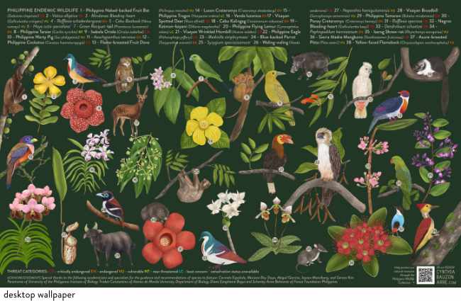 Philippine endemic flora and fauna wallpaper