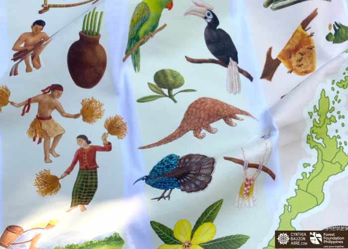 Palawan flora fauna heritage traditions and culture illustrations