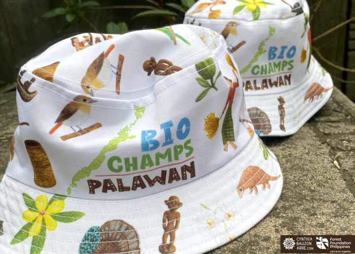 Palawan flora fauna heritage traditions and culture illustrations