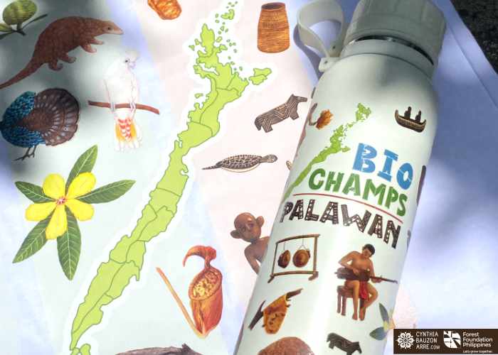 Palawan flora fauna heritage traditions and culture illustrations