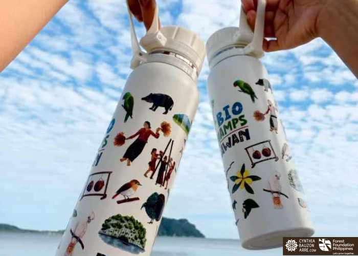 Palawan flora fauna heritage traditions and culture illustrations