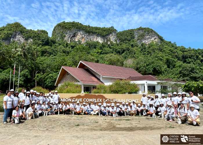 Palawan flora fauna heritage traditions and culture illustrations
