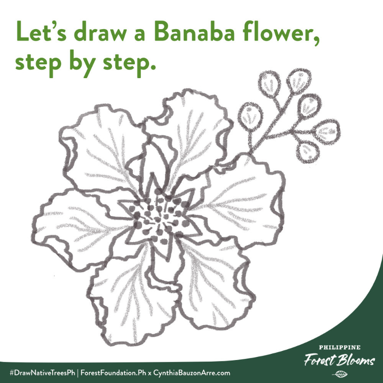 Banaba flower drawing tutorial