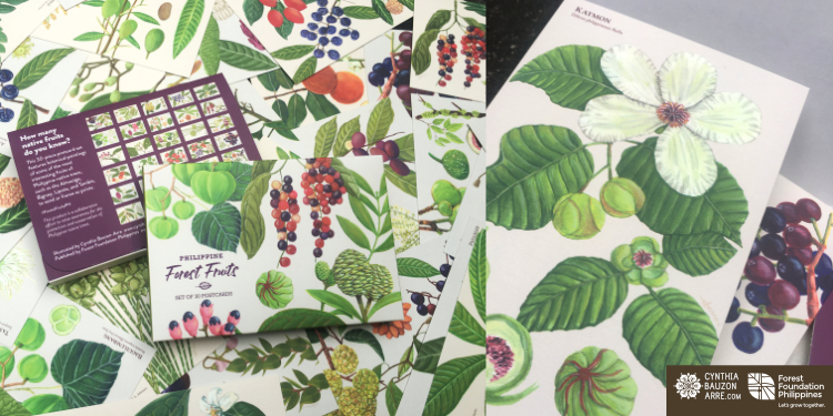 Forest Fruits Philippine Native Trees postcard set