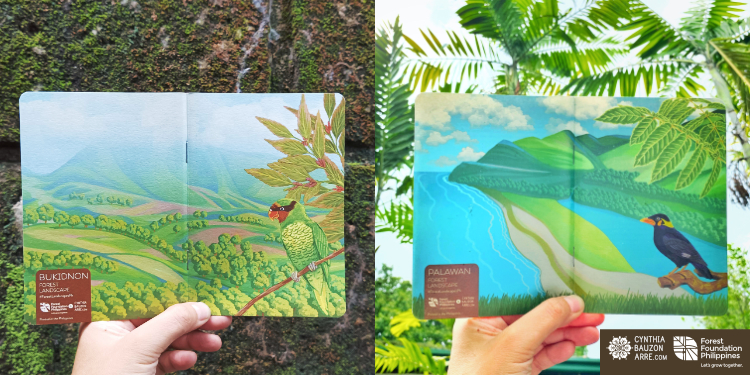 Philippine forest landscapes (Bukidnon and Palawan) - native birds and nesting plants
