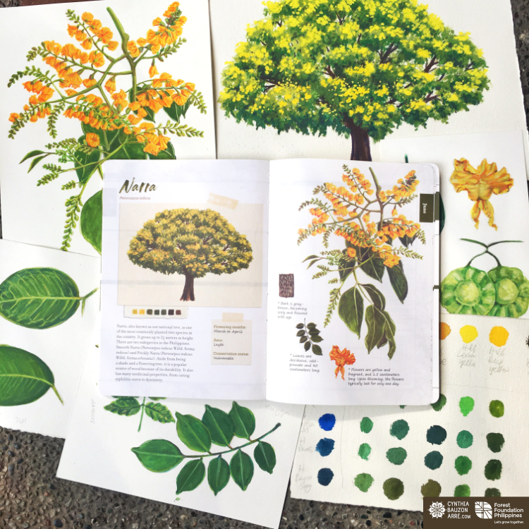 Philippine native trees planner by Cynthia Bauzon Arre and Forest Foundation Philippines