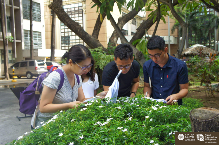 taxonomy workshop with FFP